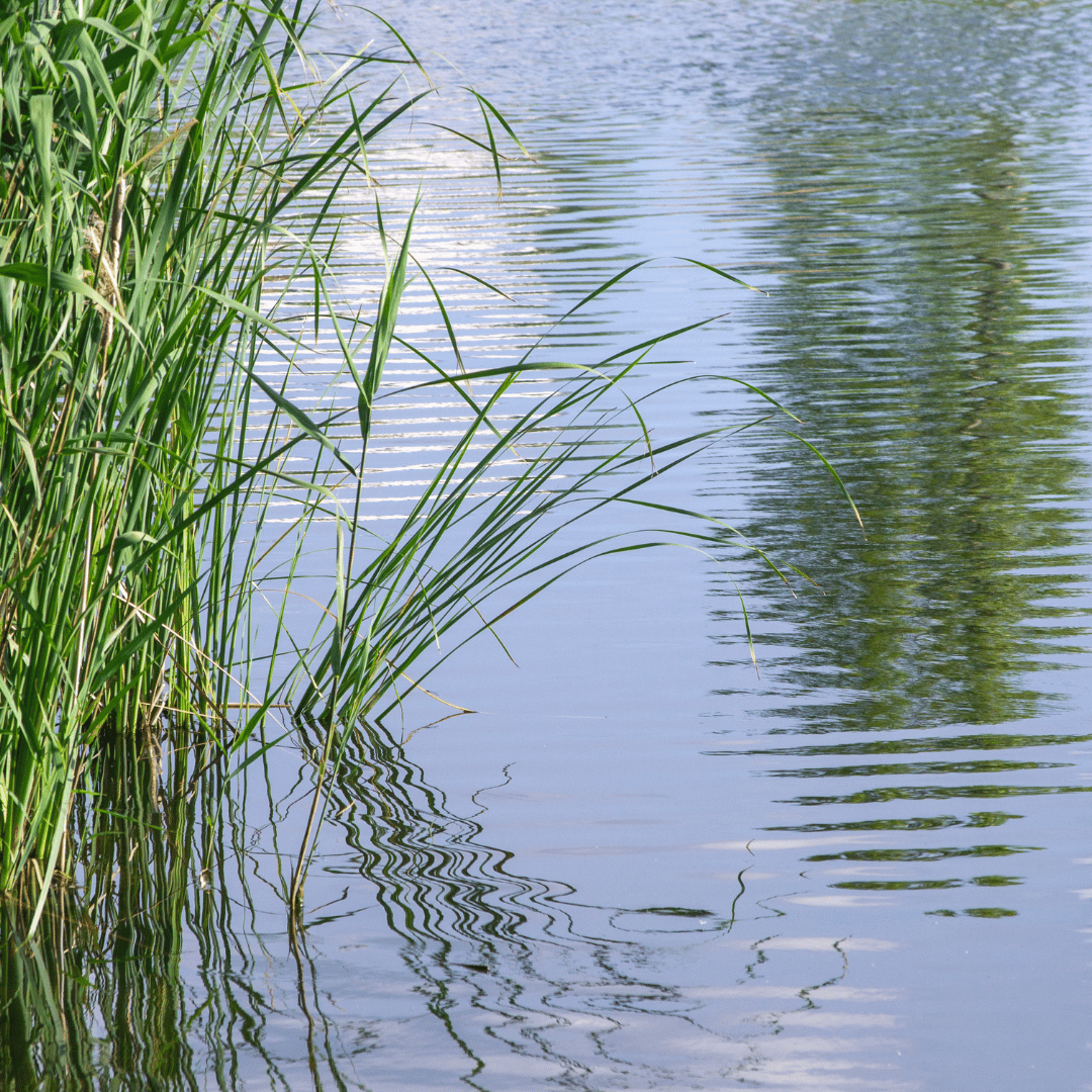 Parque del agua en Zaragoza