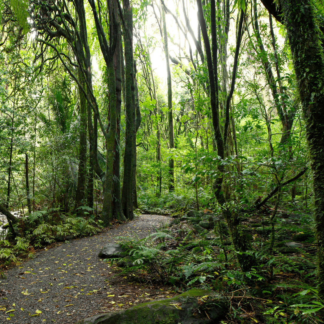 Parque Geológico de Aliaga